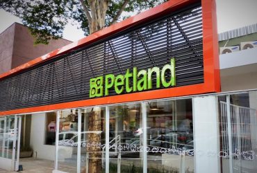 Petland tem modelo baseado na experiência de compra